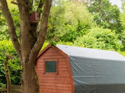 Camp pods Sandown
