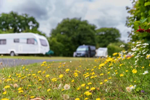 Bembridge Luxury Holiday Parks